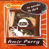 Amir Perry - No Wonder It's Dark
